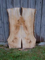 Sawmill-Pictures-044
