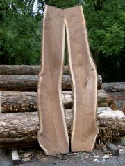 Sawmill-Pictures-050